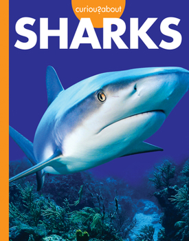 Library Binding Curious about Sharks Book