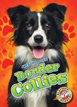 Border Collies - Book  of the Awesome Dogs