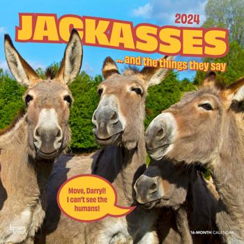 Calendar Jackasses 2024 Square Book