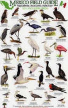 Loose Leaf Sea and Shore Birds: Baja California - Sea of Cortez - Pacific Coast (Mexico Field Guides) (Mexico Field Guides S.) Book