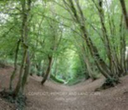 Hardcover Conflict, Memory and Landscape Book