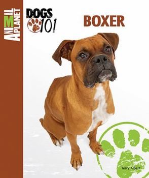 Boxer - Book  of the Animal Planet Dogs 101