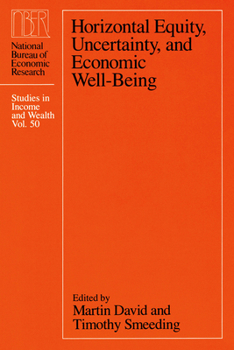 Horizontal Equity, Uncertainty, and Economic Well-being (National Bureau of Economic Research Studies in Income and Wealth) - Book  of the National Bureau of Economic Research Studies in Income and Wealth