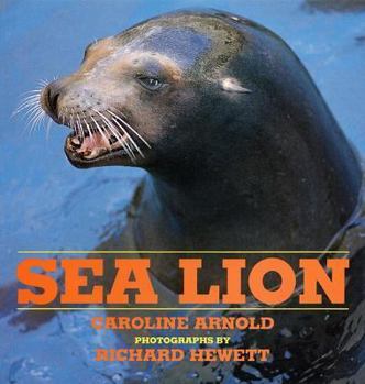 Hardcover Sea Lion Book