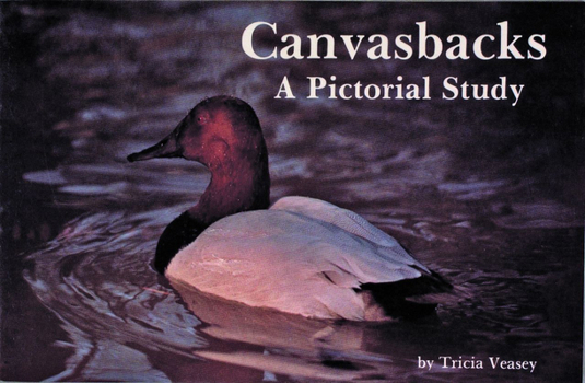 Paperback Canvasbacks: A Pictorial Study Book