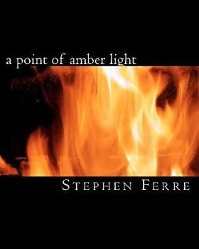 Paperback A point of amber light Book
