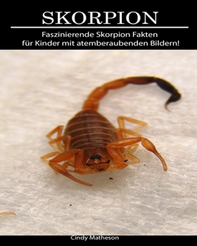 Skorpion: Faszinierende Skorpion Fakten f?r Kinder mit atemberaubenden Bildern!