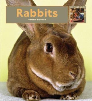Rabbits - Book  of the My First Look At: Pets