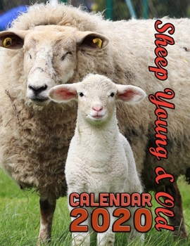 Paperback Sheep Young and Old Calendar 2020: 14 Month Desk Calendar for Lovers of the World's Wooliest Inhabitants Book