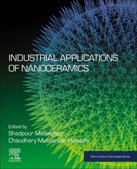 Paperback Industrial Applications of Nanoceramics Book