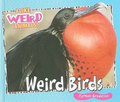 Weird Birds - Book  of the I Like Weird Animals!
