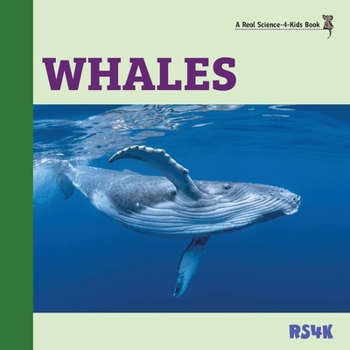 Paperback Whales Book