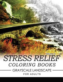 Paperback Stress Relief Coloring Books GRAYSCALE Landscape for Adults Volume 3 Book