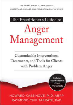 Paperback The Practitioner's Guide to Anger Management: Customizable Interventions, Treatments, and Tools for Clients with Problem Anger Book