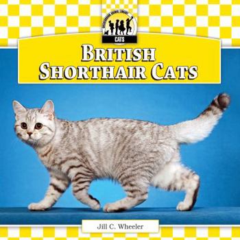 Library Binding British Shorthair Cats Book