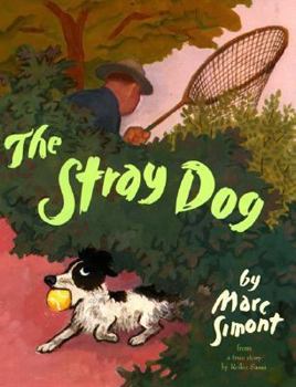 Library Binding The Stray Dog Book