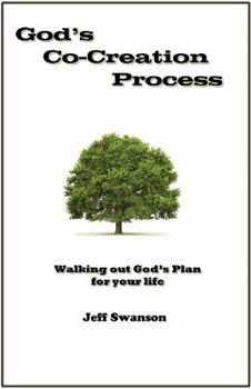 Paperback God's Co-Creation Process Book