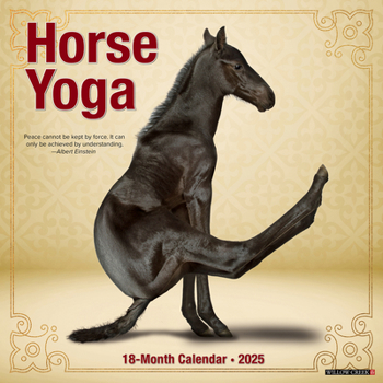 Unknown Binding Horse Yoga 2025 12 X 12 Wall Calendar Book