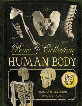 Paperback Bone Collection: Human Body [With Cards] Book