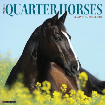 Calendar American Quarter Horses 2025 12 X 12 Wall Calendar Book