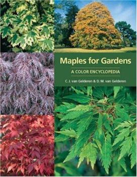 Hardcover Maples for Gardens: A Color Encyclopedia Book