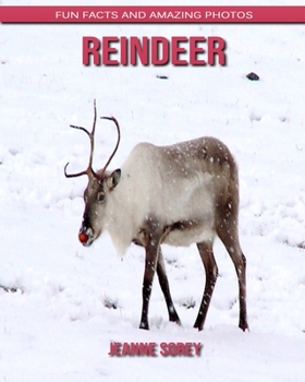 Paperback Reindeer: Fun Facts and Amazing Photos Book