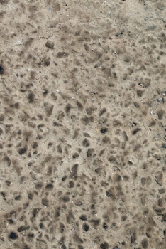 Happy Birthday Book: Happy Birthday Gifts Lined Journal Notebook  (18)  | Journal For Women, Friend Coworker  Birthday Gifts | Funny Gag Gift | Funny ... | 21 Birthday Gag Gifts For Best Friend)