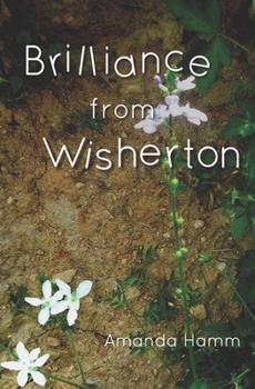 Paperback Brilliance from Wisherton Book