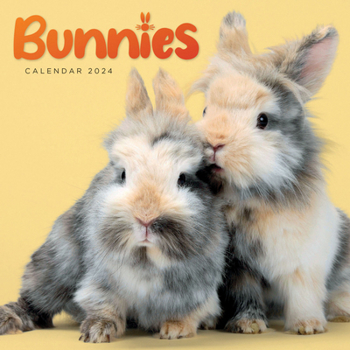 Calendar 2024 Bunnies Mini Wall Calendar Book
