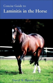 Paperback Concise Guide to Laminitis in the Horse Book
