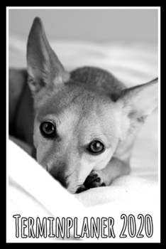 Terminplaner 2020: Jahresplaner von September 2019 bis Dezember 2020 mit Hund - Planer mit 174 Seiten in weiß im Format A5 mit glänzendem Soft Cover. (German Edition)