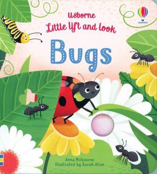 Board book Usborne Little Lift and Look Bugs Book