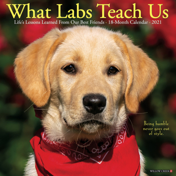 Calendar What Labs Teach Us 2021 Wall Calendar (Dog Breed Calendar) Book