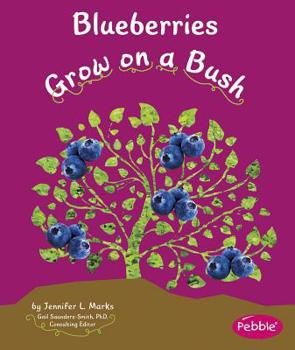 Blueberries Grow on a Bush - Book  of the How Fruits and Vegetables Grow