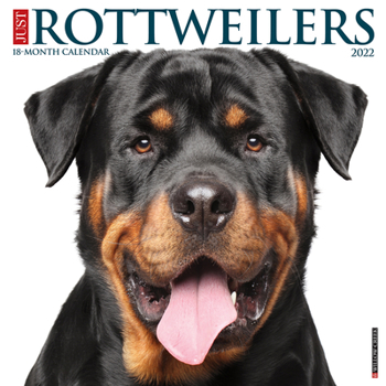 Calendar Just Rottweilers 2022 Wall Calendar (Dog Breed) Book