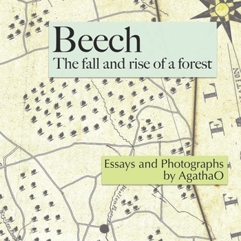 Paperback Beech: The Fall and Rise of a Forest Book