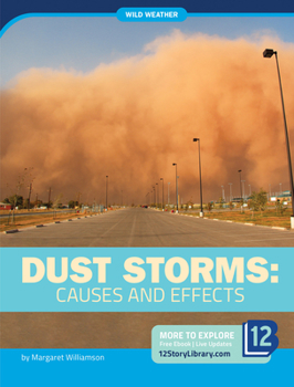 Paperback Dust Storms: Causes and Effects Book