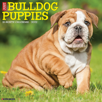 Calendar Just Bulldog Puppies 2022 Wall Calendar (Dog Breed) Book