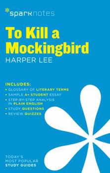 Paperback To Kill a Mockingbird Sparknotes Literature Guide: Volume 62 Book