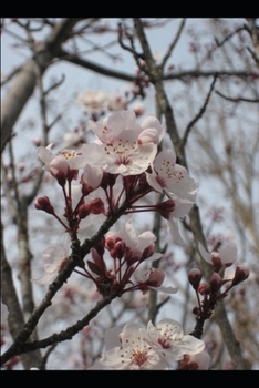 Paperback Pinceladas Escritas [Spanish] Book