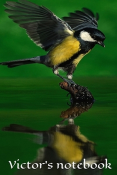 Paperback Victor's notebook, journal . size 6x9, 100 pages: Perfect gift idea Book