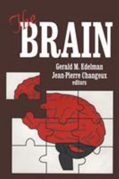 Paperback The Brain Book