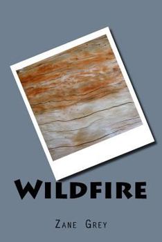 Paperback Wildfire Book