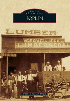 Paperback Joplin Book