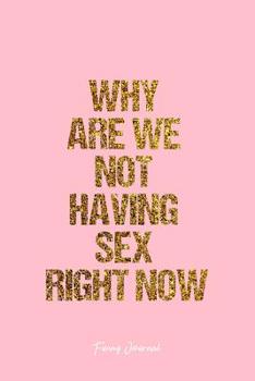 Funny Journal: Lined Journal - Why Are We Not Having Sex Right Now Funny Quote Sex - Pink Diary, Planner, Gratitude, Writing, Travel, Goal, Bullet Notebook - 6x9 120 pages