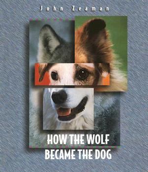 Paperback How the Wolf Became the Dog Book