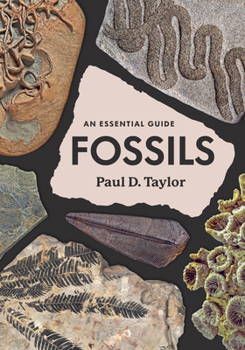 Hardcover Fossils: An Essential Guide Book