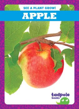 Paperback Apple Book