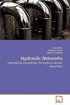 Paperback Hydraulic Networks Book