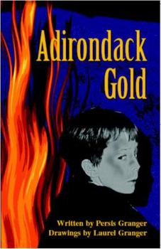 Paperback Adirondack Gold Book